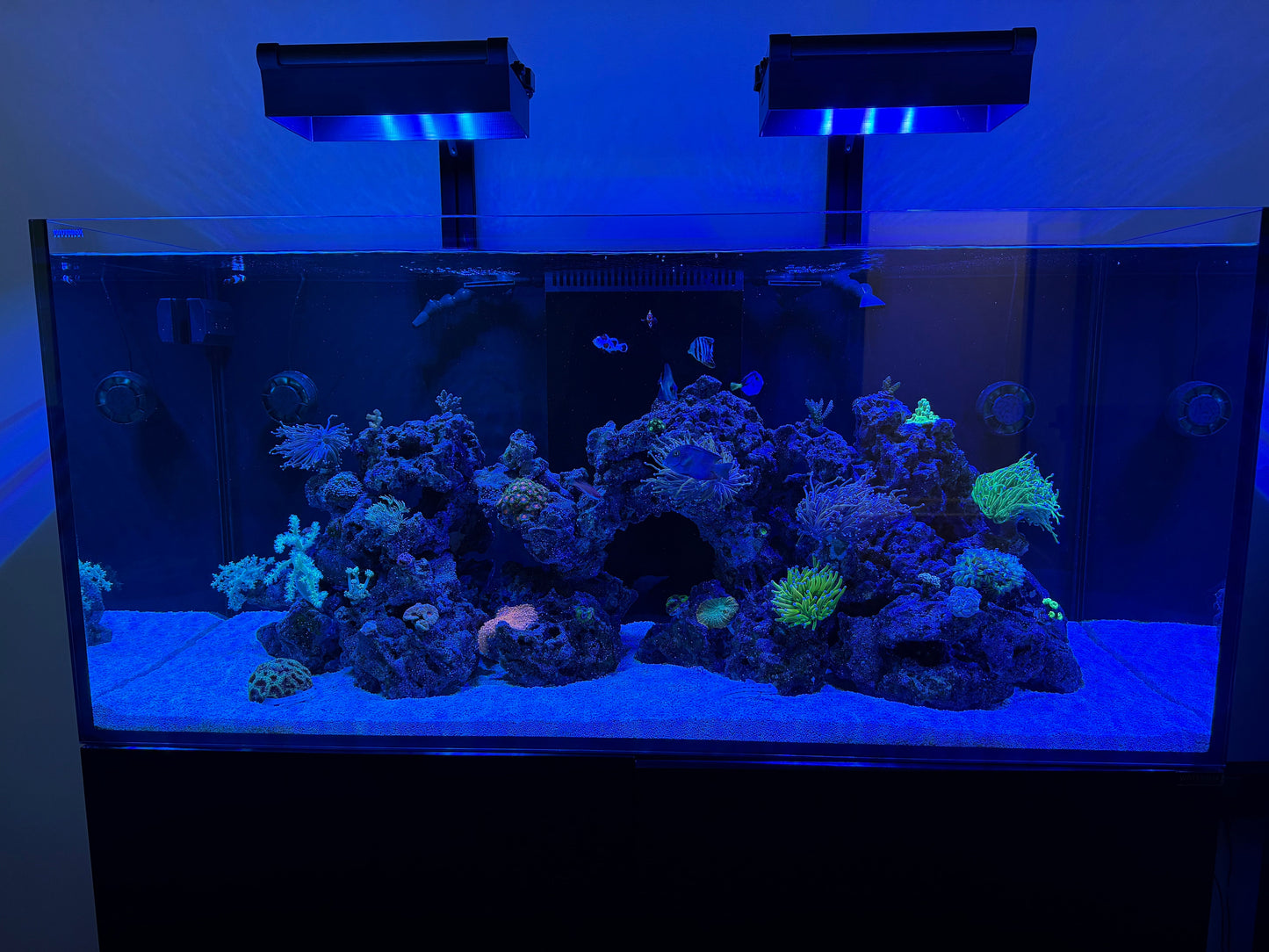 AquaIllumination Hydra Edge 44HD Light Shade