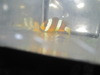 Sebae Clownfish