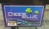 Deep Blue 40 Gallon Breeder