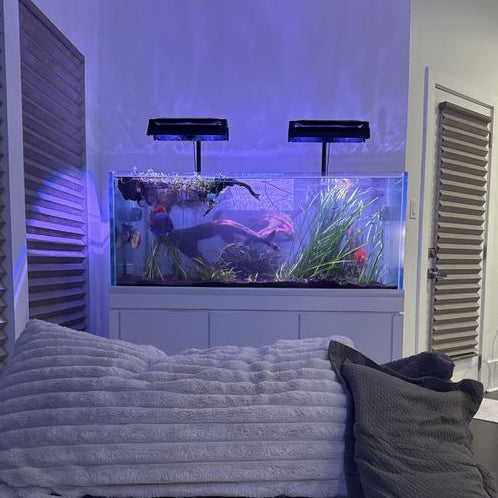 Kessil AP9X Light Shade