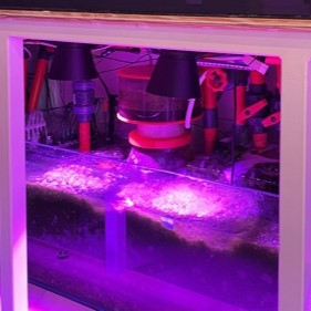 Kessil A360X/XE Light Shade