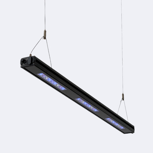 Edge 35