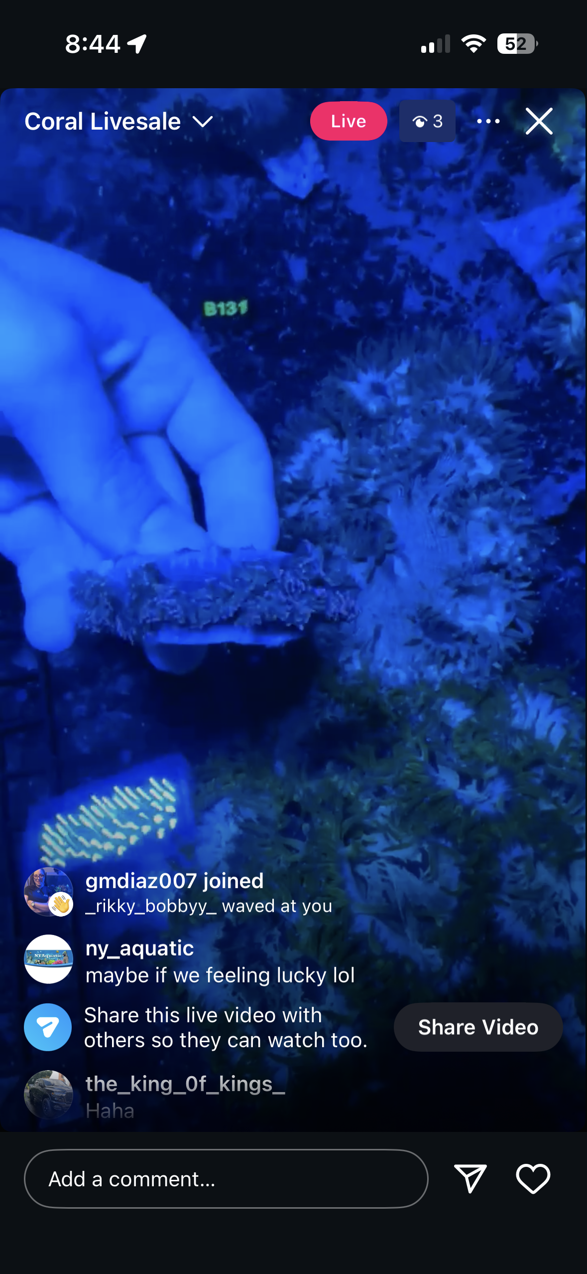 Live Sale Elegance Coral B131