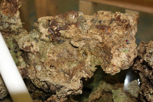 Live Rock - (fully cured, true Indonesian Live rock)
