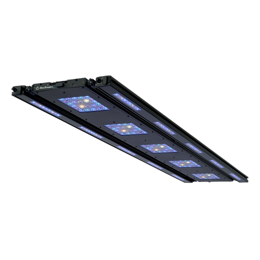 Meridian 63 Edge Bar Bundle