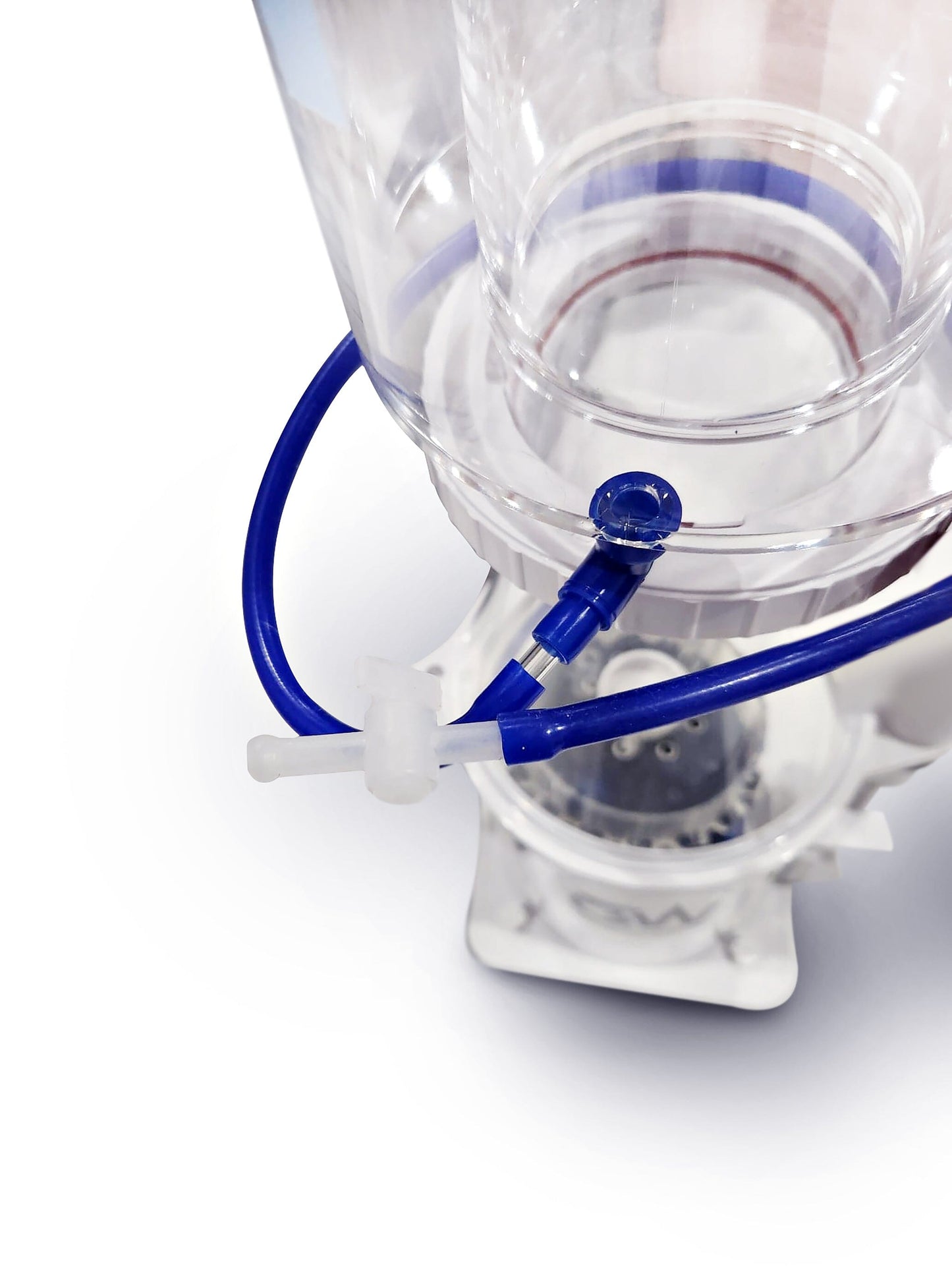 Great White Skimmer DC